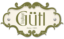 logo-traunblick-1.png 